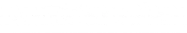 bingo plus net rewards login