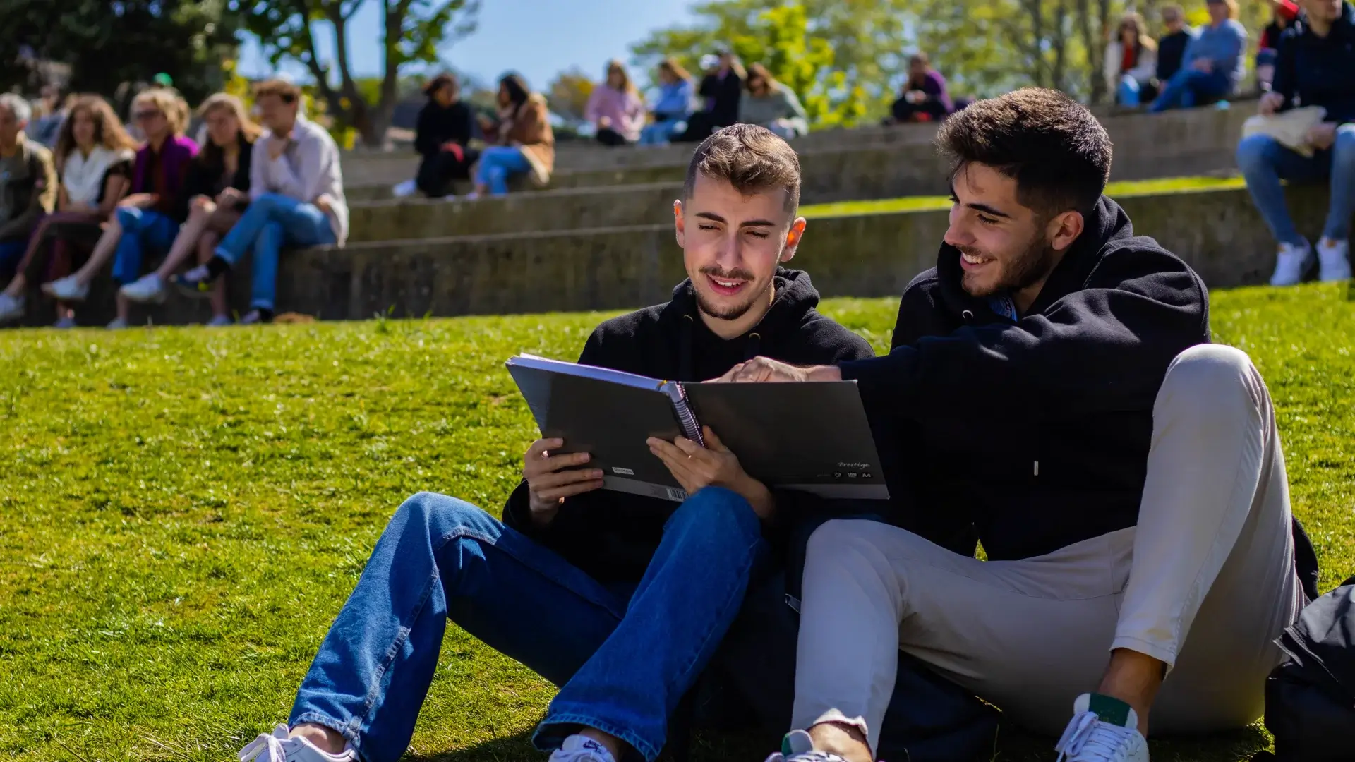 bingo plus net rewards login