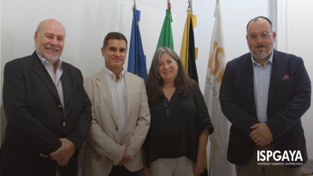 bingo plus net rewards login